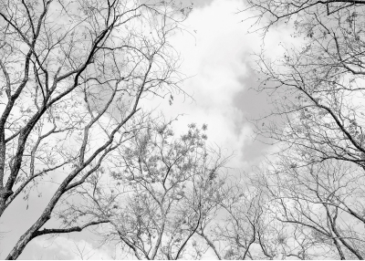 Флис Фототапет Сиво спокойствие